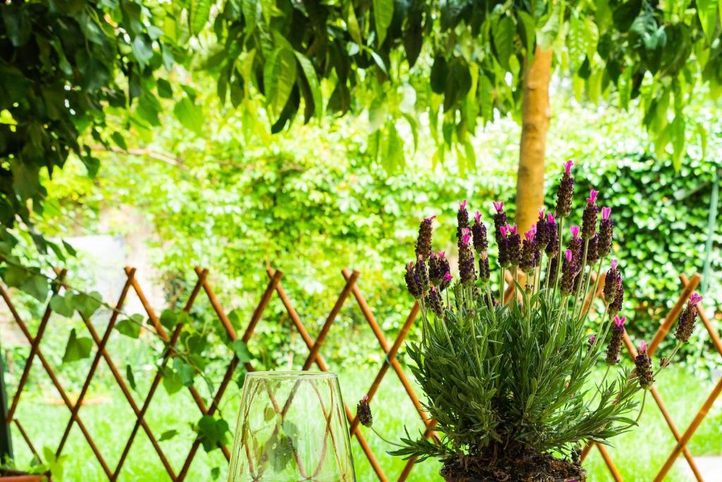 Marylou Gardenhouse Leilighet Pisa Eksteriør bilde