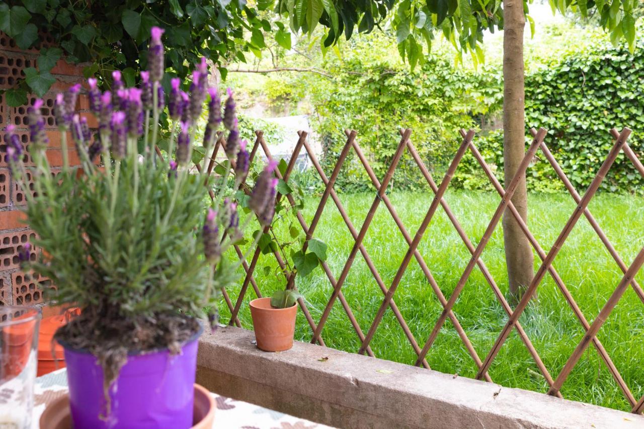 Marylou Gardenhouse Leilighet Pisa Eksteriør bilde
